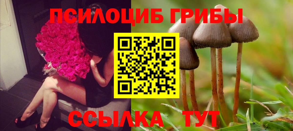 Архангельск  Псилоцибиновые грибы Psilocybe  Вход с VPN 