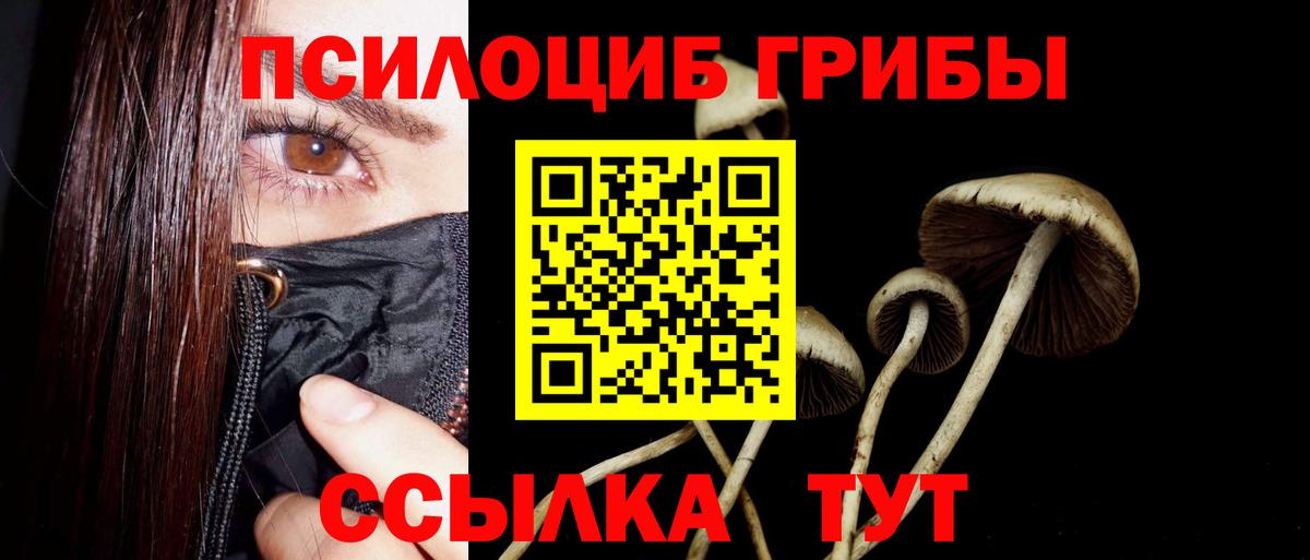 Псилоцибиновые грибы MAGIC MUSHROOMS Архангельск